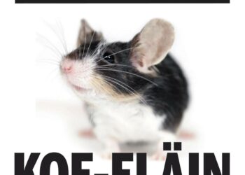 Animalian koe-eläinvastaavan Marianne Lammin mukaan eläinkokeettomat tutkimusmenetelmät, kuten 3D-mallinnukset ja keinoiho, ovat kehittyneet paljon, mutta niiden rahoitus on vaatimatonta.