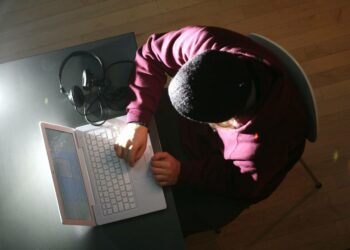 On arvioitu, että ilmaisessa työharjoittelussa oli vuonna 2008 noin 320000 ihmistä.