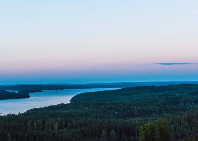 Heinävedellä pelätään kaivoshankkeen tuhoavan ainutlaatuisen maiseman. Kermajärvi kuvattuna Pääskyvuoren näköalatornista.