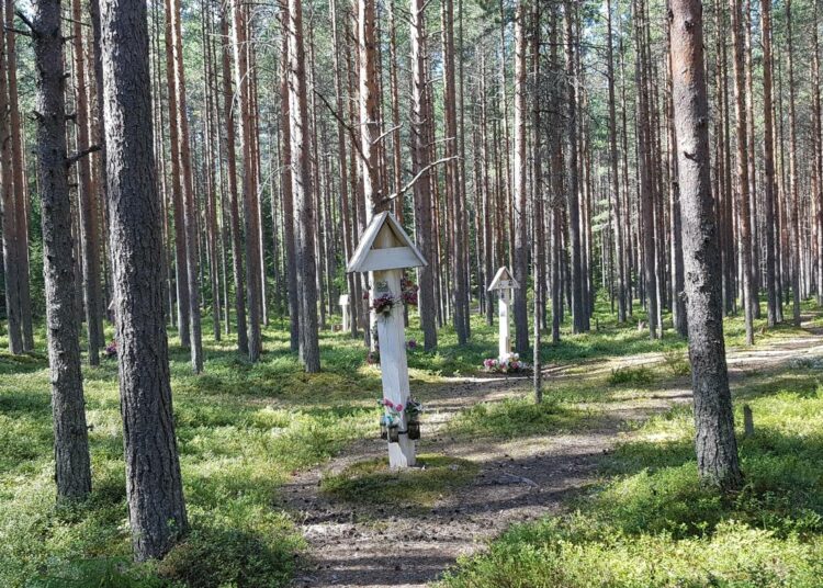 Teloitettujen muistomerkkejä Krasnyi borissa, josta Aimo Ruususen viime viikolla ilmestynyt kirja kertoo.
