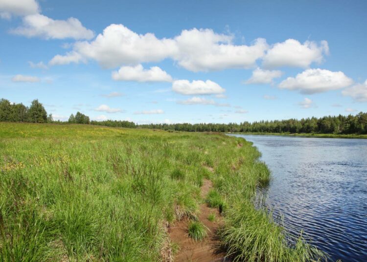 Karjarannan alueella Ounasjoen varrella on suojeluasiantuntija Ari-Pekka Auvisen mukaan paljon virkistyskäyttöpotentiaalia.