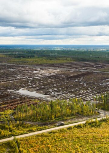 Dronekuvaa Muhoksen datakeskuksen alueelta syyskuussa 2026.