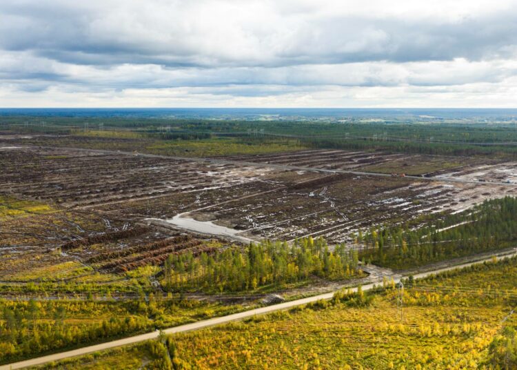 Dronekuvaa Muhoksen datakeskuksen alueelta syyskuussa 2026.