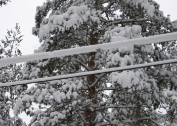Lumikuorma on jo koetellut sähköjohtojen kestävyyttä muun muassa Jämsänniemessä Keski-Suomessa.