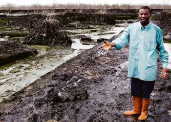 Paikallinen pastori ja entinen kalankasvattaja Christian Lekoya Kpandei esitteli Shellin öljyvuodon aiheuttamaa tuhoa Bodon jokialueella Nigerian Ogonimaassa.