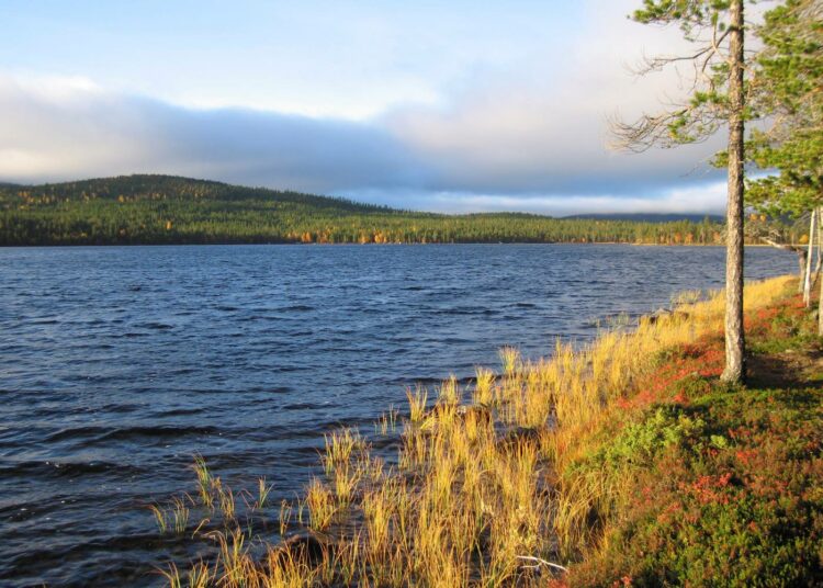 Inarin kunnankirjaston kokoamassa äänitearkistossa on tarina Inarin Nangujärven ympäristössä toimineista kolmesta vankileiristä. Vangit työskentelivät näissä maisemmissa metsätöissä ja puutavaran kuljettajina muulikolonnoissa.