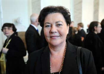 Keskustan kansanedustajan Aila Paloniemen mukaan perussuomalaisten ehdotus kehitysyhteistyön hoitamiseksi vapaaehtoisilla lahjoituksilla ei toimi. Paloniemen mielestä siten ei pystytä tekemään pitkäjänteistä kehitysyhteistyötä.