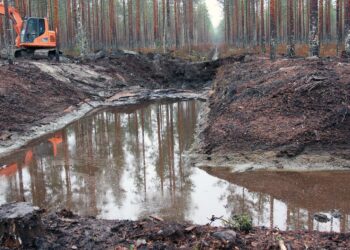 Ojitusalueelle rakennettavat laskeutusaltaat ottavat talteen eroosion irrottamaa kiintoainetta ja vähentävät siten vesistökuormitusta ilman, että ojitusten tavoite, puunkasvun lisääntyminen vaarantuu.