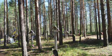 Sandarmohin joukkohaudat naamioitiin neuvostoaikana istuttamalla niiden päälle täysikasvuisia mäntyjä. Nyt vankilassa olevan Juri Dmitrijevin johtama Memorial-yhdistyksen retkikunta löysi hautapaikan kesällä 1997.