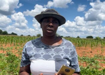Agnes Moyo on zimbabwelainen pienviljelijä, joka harjoittaa intwasaa, säilyttävää maanviljelyä.