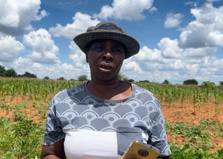 Agnes Moyo on zimbabwelainen pienviljelijä, joka harjoittaa intwasaa, säilyttävää maanviljelyä.