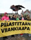 Viikinkiaapaa puolustettiin mielenosoituksessa lauantaina. Kansanedustaja Pia Lohikosken mukaan kaivoksen perustaminen alueelle olisi silkkaa järjettömyyttä.