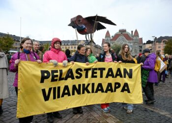Viikinkiaapaa puolustettiin mielenosoituksessa lauantaina. Kansanedustaja Pia Lohikosken mukaan kaivoksen perustaminen alueelle olisi silkkaa järjettömyyttä.