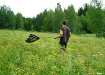 Perhostutkija kerää päiväperhosia niityllä.