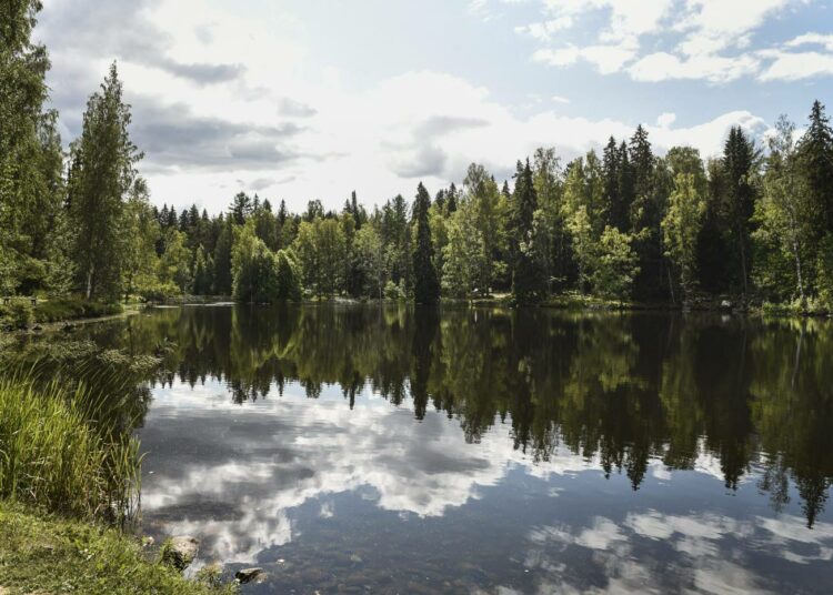 Suomen luonnon monimuotoisuuden väheneminen jatkuu.