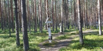 Juri Dmitrijev löysi Pietarin Memorialin kanssa 1990-luvulla Karjalassa tekemissään tutkimuksissa Sandarmohin ja Krasnyi Borin (kuva) joukkohaudat.