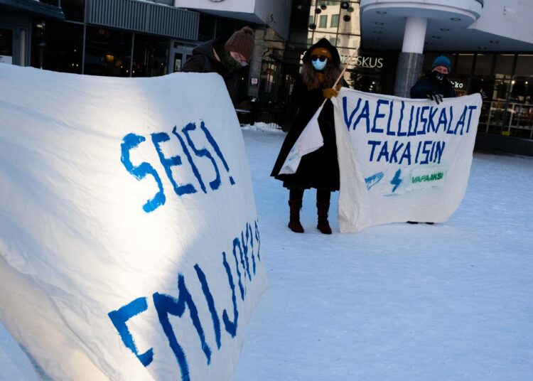 Mielenosoitus keräsi Lordin aukiolle toistakymmentä myötämielisemmän lohipolitiikan kannattajaa. Kemijoen lohen tilaa on kuvailtu Suomen suurimmaksi ympäristörikokseksi. Kuvassa oikealla sosiologian professori Vesa Puuronen.