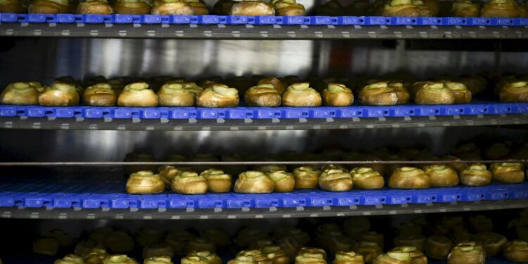 Fazerin leipomon pullalinja Lahdessa toukokuussa 2025.