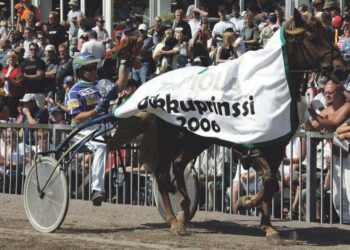 Kilun Peedro loimitettiin pikkuprinssiksi Forssan kuninkuusraveissa vuonna 2006. Ori on edelleen kovassa kunnossa.