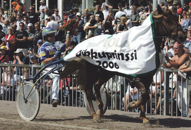 Kilun Peedro loimitettiin pikkuprinssiksi Forssan kuninkuusraveissa vuonna 2006. Ori on edelleen kovassa kunnossa.