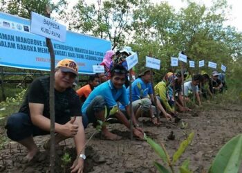 Sungai Nibungin kyläpäällikkö Syarif Ibrahim (toinen vasemmalta) näyttää esimerkkiä mangrovepuiden istuttamisessa.