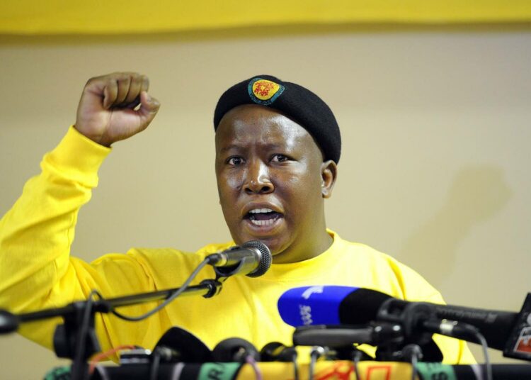 ANC:stä lähtöpassit saanut entinen nuorisojärjestön puheenjohtaja Julius Malema (oik.) käytti kaivoslakkoa omiin poliittisiin tarkoituksiinsa.