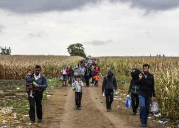 Eurooppaan tulijoita vaeltamassa kohti Kroatian rajaa Serbiassa syyskuussa.