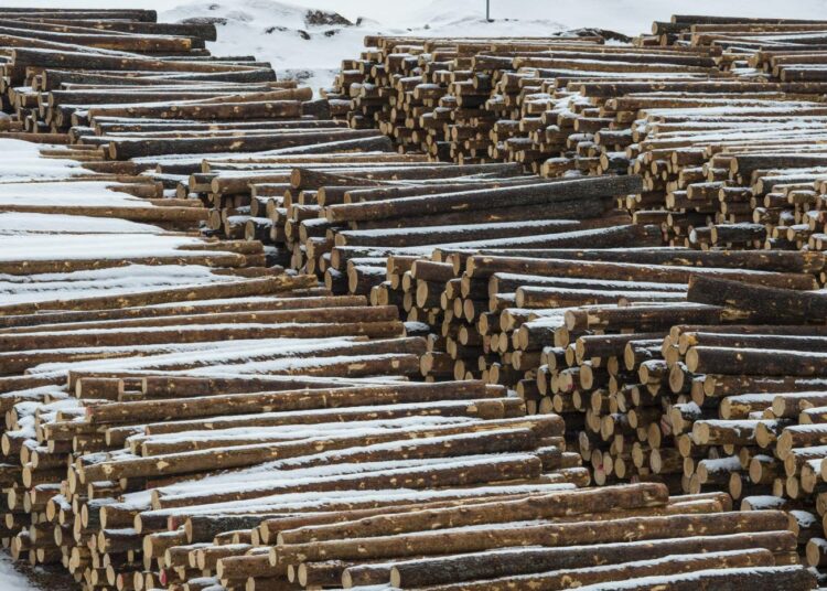 Lakko mekaanisessa metsäteollisuudessa uhkaa 22. - 29. tammikuuta. Paperiteollisuutta uhkaa päivän mittainen työnseisaus, joka on valmis toteutettavaksi 17. tammikuuta.
