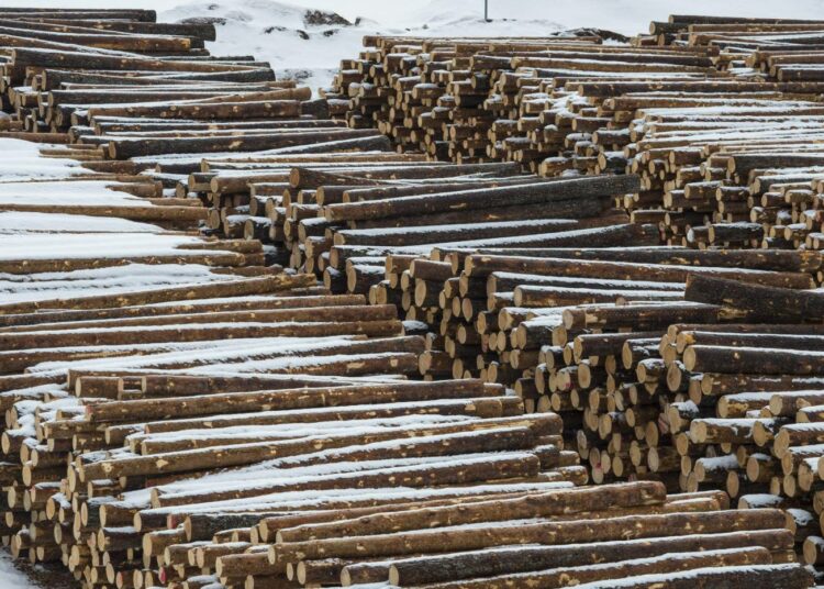 Lakko mekaanisessa metsäteollisuudessa uhkaa 22. - 29. tammikuuta. Paperiteollisuutta uhkaa päivän mittainen työnseisaus, joka on valmis toteutettavaksi 17. tammikuuta.