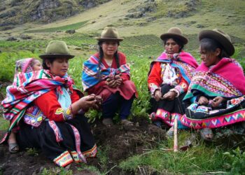 Perunanviljelyllä on ikiaikaiset perinteet Perun Andeilla.