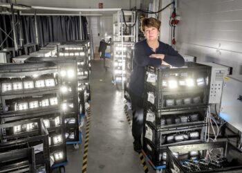 Pietarsaarelaisen Herrmans Oy:n pääluottamusmies Ann-Louice Ormiskangas kertoo, että heillä ylityökielto ratkaistiin palkkaamalla lisää väkeä.