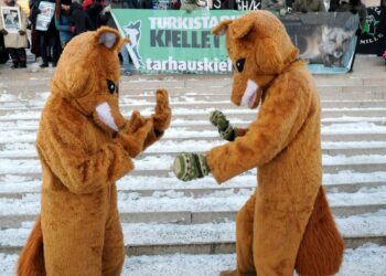 Oikeutta eläimille -yhdistyksen aktiivit olivat kettupukuisina vastustamassa turkistarhausta myös marraskuussa 2011.