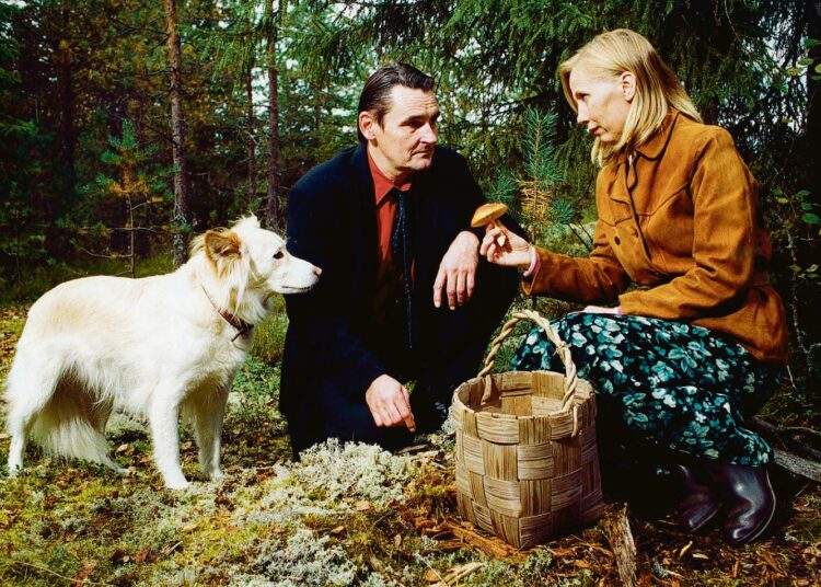 Hannibal (Tähti-koira), M (Markku Peltola) ja Irma (Kati Outinen).