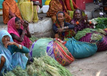 Maattomat dalit-naiset myyvät ruohoa lähellä Yamuna Nagarin kaupunkia Haryanan osavaltiossa. Haryanassa 85 prosenttia daliteista ei omista maata.