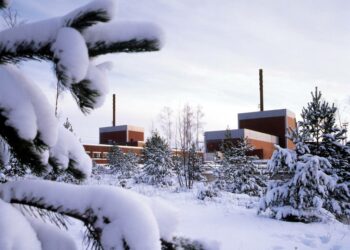 Ydinvoimapäätöksissä on Ruostetsaaren mukaan kuunneltu myös paljon sellaisia asiantuntijoita, jotka ovat selkeästi tiettyjen eturyhmien edustajia.