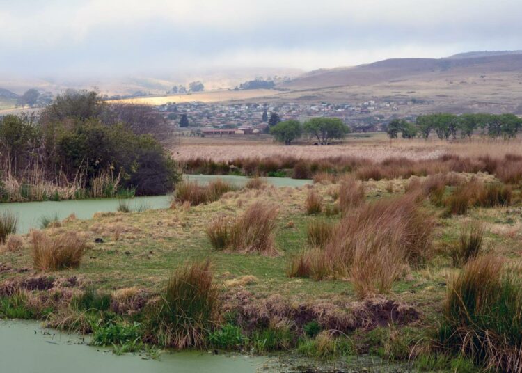 Uutta hiilikaivosta puuhataan suojellulle kosteikkoalueelle lähelle Wakkerstroomia Etelä-Afrikan Mpumalangan maakunnassa. Alueen vesistöt kuuluvat maan strategisiin vesivaroihin.