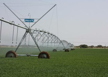 Viljavat vainiot kuluttavat yli 71 prosenttia Argentiinan käyttövedestä, laskee ympäristöjärjestö Green Cross Argentina.