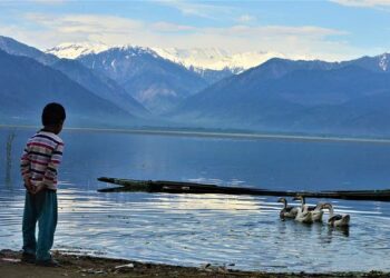 Poika katselee lintujen lipumista järvellä. Wularin luoteiskolkassa vettä riittää ympäri vuoden.