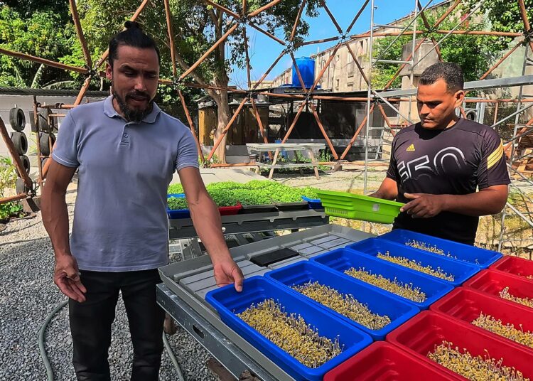 Vihanneksia myyvä pienyritys Havannassa. Julkisen ja yksityisen sektorin kumppanuudet voivat tuoda suuria hyötyjä, mutta olisivat tehokkaampia osana laajempaa yrityssektorin uudistusta.