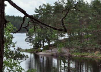 Teijon Matildanjärvellä maisemat ovat huikaisevan hienot.