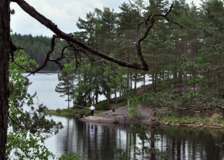 Teijon Matildanjärvellä maisemat ovat huikaisevan hienot.