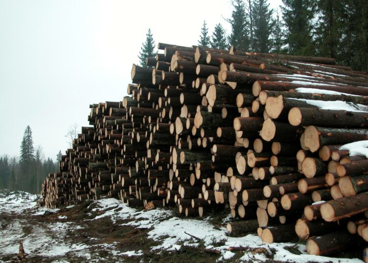 Suomen metsissä on puuta runsaat kaksi miljardia kuutiometriä.