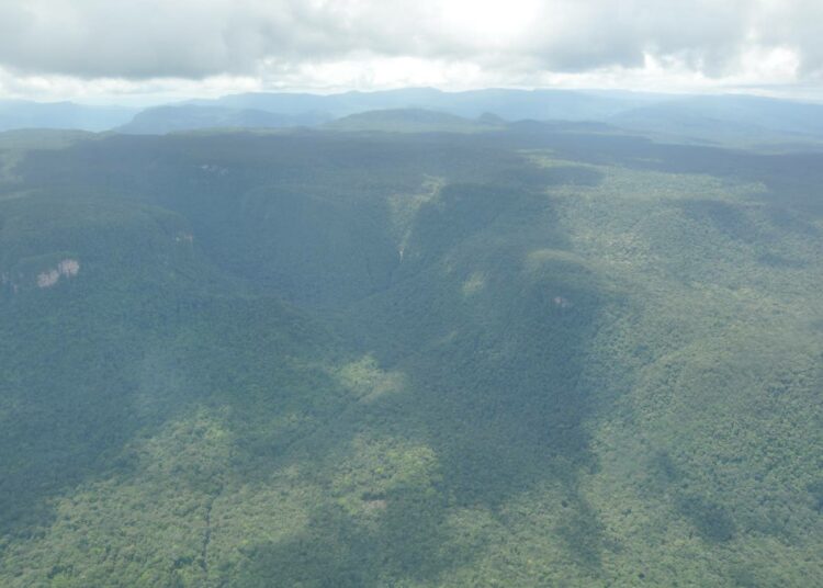 Eteläamerikkalainen Guyana on pidättynyt metsänhakkuista Norjan tukemassa ilmastohankkeessa, mutta kiusaus öljyvarantojen hyödyntämiseen on köyhälle maalle suuri.