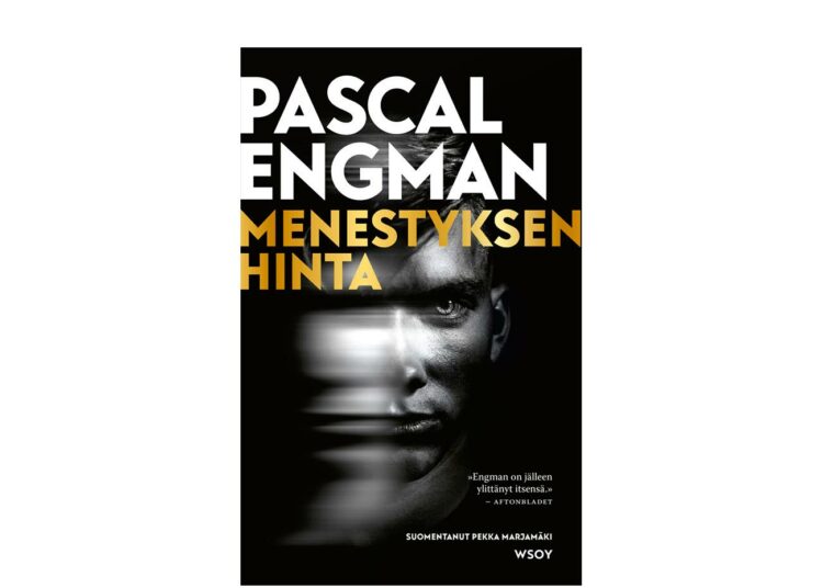 Menestyksen hinta on toiseksi viimeinen Vanessa Frank -sarjan trilleri.