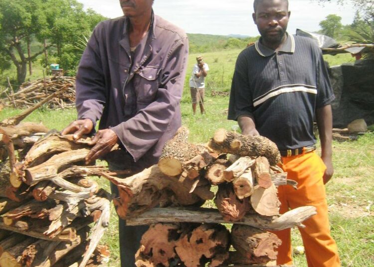 Swazimaalaiset puukauppiaat Moses Ginindza ja Mphumuzi Magwagwa ovat huolissaan tulevaisuudestaan.