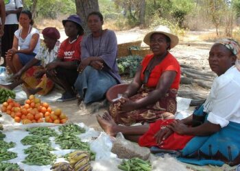 Zimbabwelaisia vihanneskauppiaita. Monet kauppiaat sanovat, että heidän on pakko heittää menemään mätänevät vihanneksensa, sillä ihmisillä ei enää ole varaa ostaa niitä.