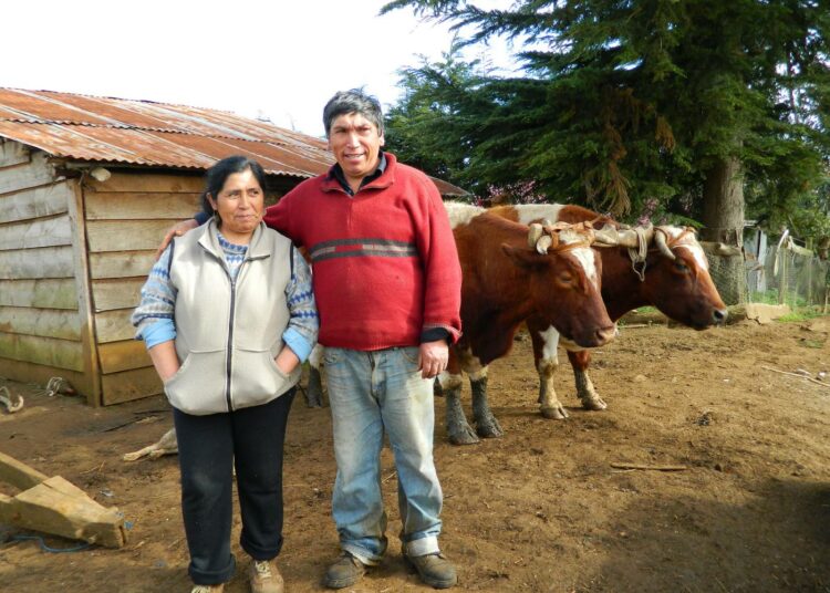 Mapuche-pariskunta Catalina Marileo ja Luis Aillapán kotinsa edustalla keskisessä Chilessä. Vanhan perustuslain vallitessa heidät vietiin oikeuteen terrorismista syytettynä vain siksi, että he vastustivat tietä, jonka armeija halusi rakentaa heidän maidensa halki.