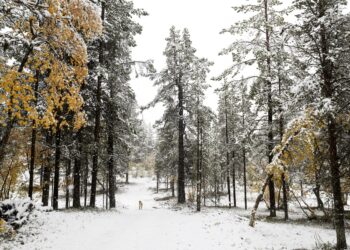 Vasemmistoliitto lisäisi luontoretkiä.
