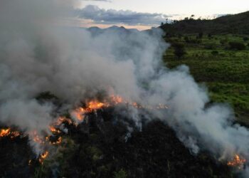 Ennennäkemättömän kuivuuden ruokkimat metsäpalot tuhosivat yli kolme miljoonaa hehtaaria metsää Amazonilla viime vuonna. Kuivuus on seurausta ilmastonmuutoksesta.