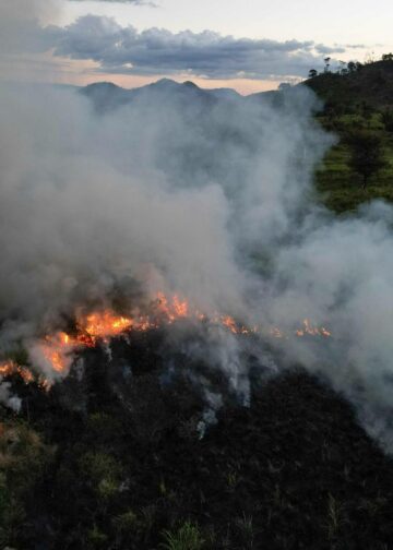 Ennennäkemättömän kuivuuden ruokkimat metsäpalot tuhosivat yli kolme miljoonaa hehtaaria metsää Amazonilla viime vuonna. Kuivuus on seurausta ilmastonmuutoksesta.